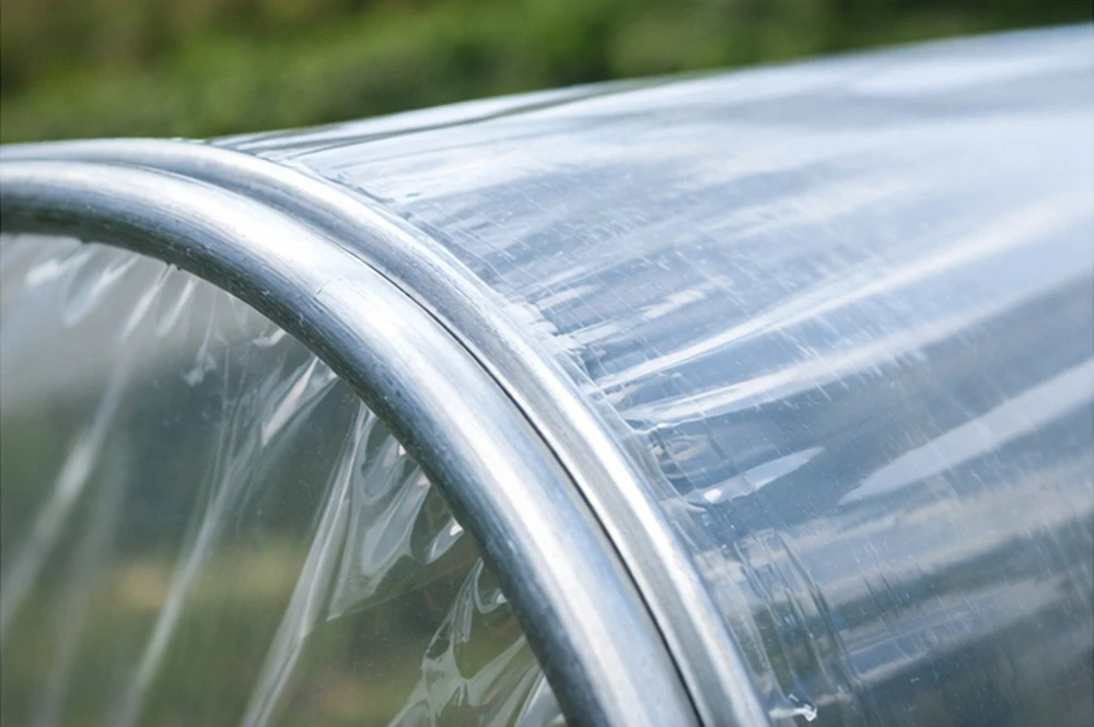 Close-up of clear greenhouse film stretched tightly over a metal hoop frame
