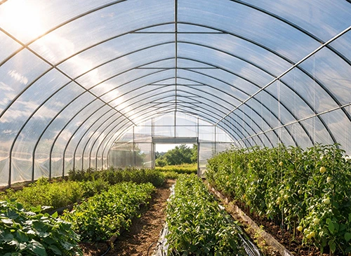 Clear Greenhouse Plastic Guide: Light Transmission, Heat Retention & When to Use It thumbnail