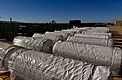 Hoop House Plastic Master Roll 24' × 2720' main image