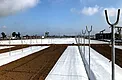 White weed control mat used as greenhouse aisle ground cover