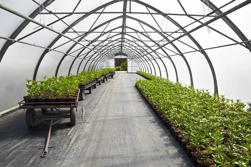 Over Winter Plastic better tear strength reduce the loss of energy superior protection for winter growing main image